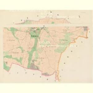 Nettonitz (Nettonice) - c5075-1-002 - Kaiserpflichtexemplar der Landkarten des stabilen Katasters