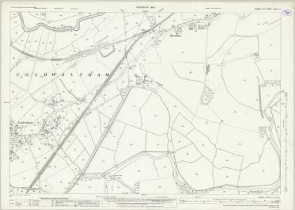 Sussex XXXVI.10 (includes: Coldwaltham; Parham) - 25 Inch Map