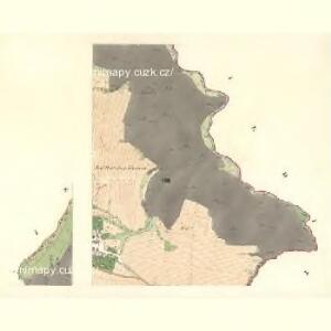 Richtarzow (Richtarzow) - m2660-1-007 - Kaiserpflichtexemplar der Landkarten des stabilen Katasters