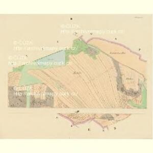 Tholl - c1420-1-002 - Kaiserpflichtexemplar der Landkarten des stabilen Katasters