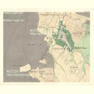 Orlowitz (Orlowice) - m2161-1-004 - Kaiserpflichtexemplar der Landkarten des stabilen Katasters