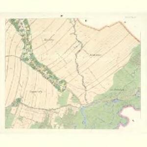 Petrowitz (Pustěgowo) - m2489-1-004 - Kaiserpflichtexemplar der Landkarten des stabilen Katasters