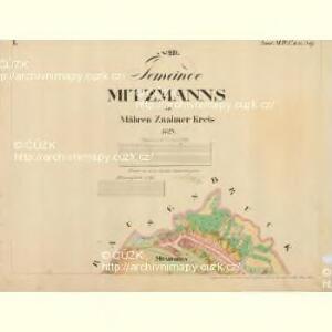 Mitzmanns - m1778-1-001 - Kaiserpflichtexemplar der Landkarten des stabilen Katasters