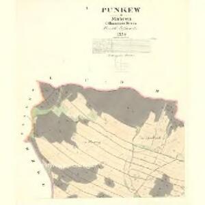 Punkew - m2362-1-001 - Kaiserpflichtexemplar der Landkarten des stabilen Katasters