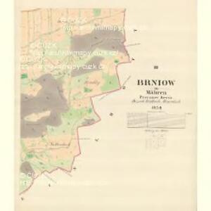 Brniow - m0219-1-003 - Kaiserpflichtexemplar der Landkarten des stabilen Katasters