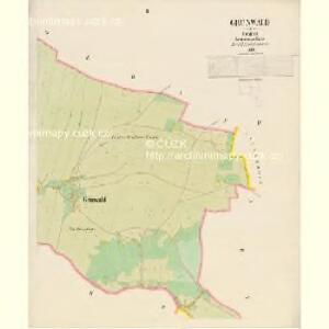Grünwald - c5647-5-002 - Kaiserpflichtexemplar der Landkarten des stabilen Katasters