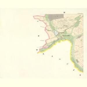 Gross Chischka - c8396-1-004 - Kaiserpflichtexemplar der Landkarten des stabilen Katasters