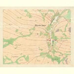 Protiwanow - m2430-1-004 - Kaiserpflichtexemplar der Landkarten des stabilen Katasters