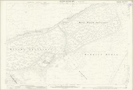 Hampshire and Isle of Wight LXIII.10 (includes: Ellingham; Fordingbridge; Minstead) - 25 Inch Map