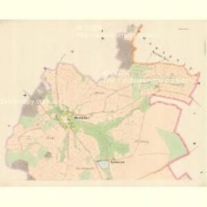 Willitz - c8585-1-001 - Kaiserpflichtexemplar der Landkarten des stabilen Katasters