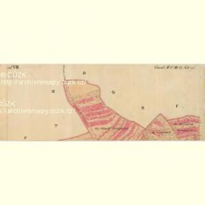 Nikolsburg - m1785-1-029 - Kaiserpflichtexemplar der Landkarten des stabilen Katasters