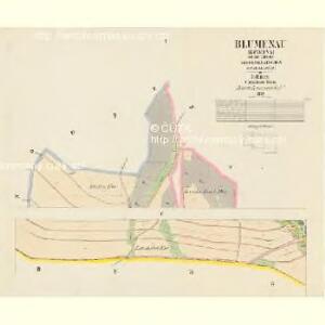 Blumenau (Kwietna) - c3748-1-001 - Kaiserpflichtexemplar der Landkarten des stabilen Katasters