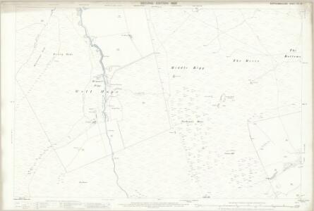 Northumberland (Old Series) CVI.16 (includes: Allendale Common; West Allen) - 25 Inch Map
