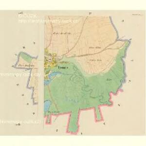 Treunitz - c1556-1-004 - Kaiserpflichtexemplar der Landkarten des stabilen Katasters