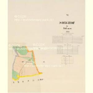 Sorghof - c4288-2-005 - Kaiserpflichtexemplar der Landkarten des stabilen Katasters