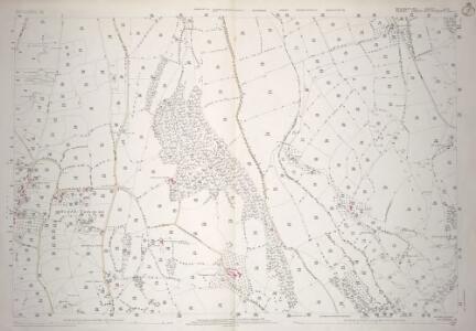 Devon LX.9 (includes: Chardstock; Membury) - 25 Inch Map