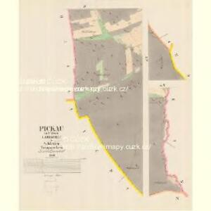 Pickau - m0306-1-003 - Kaiserpflichtexemplar der Landkarten des stabilen Katasters