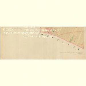 Tasswitz - m3084-1-011 - Kaiserpflichtexemplar der Landkarten des stabilen Katasters