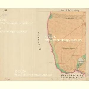 Trschitz - m3142-1-010 - Kaiserpflichtexemplar der Landkarten des stabilen Katasters