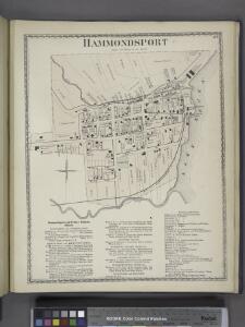 Hammondsport [Village]; Hammondsport and Urbana Business Notices.