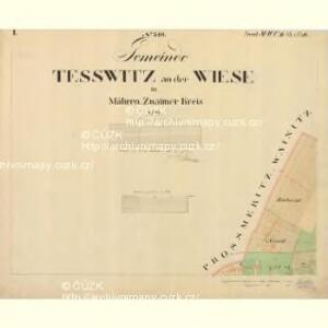 Tesswitz - m2888-1-001 - Kaiserpflichtexemplar der Landkarten des stabilen Katasters