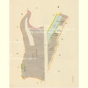 Niedergrund - c1418-2-003 - Kaiserpflichtexemplar der Landkarten des stabilen Katasters