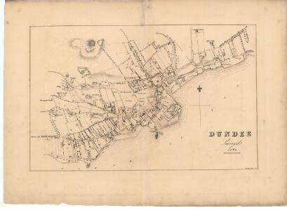 Plan of the Town of Dundee from actual survey.