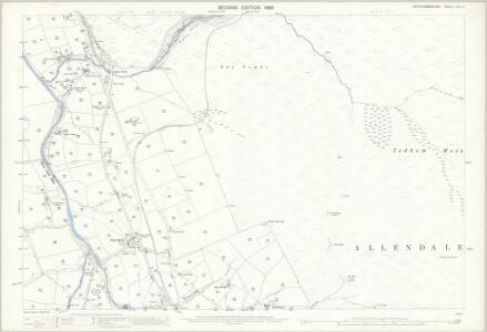Northumberland (Old Series) CVII.11 (includes: Allendale Common; Allendale) - 25 Inch Map
