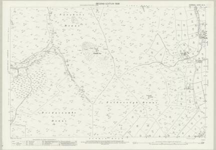 Cornwall XXI.6 (includes: Altarnun; St Breward) - 25 Inch Map