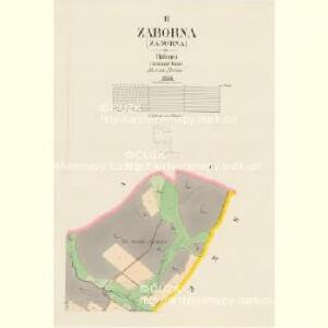 Zaborna - c9007-1-002 - Kaiserpflichtexemplar der Landkarten des stabilen Katasters