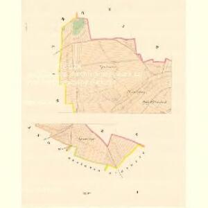 Luttopetz - m1667-1-001 - Kaiserpflichtexemplar der Landkarten des stabilen Katasters