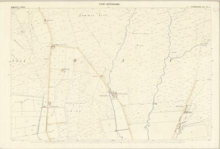 Cumberland III.4 (includes: Bewcastle) - 25 Inch Map