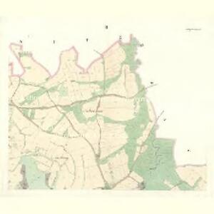 Wittiegitz (Wittiegic) - c8620-1-002 - Kaiserpflichtexemplar der Landkarten des stabilen Katasters