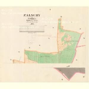 Zalschy - c9117-1-001 - Kaiserpflichtexemplar der Landkarten des stabilen Katasters