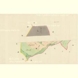Bielov - m0075-1-003 - Kaiserpflichtexemplar der Landkarten des stabilen Katasters