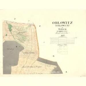 Orlowitz (Orlowice) - m2161-1-002 - Kaiserpflichtexemplar der Landkarten des stabilen Katasters