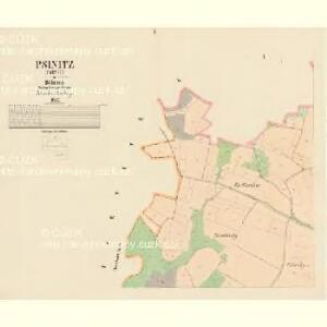 Psinitz (Psinic) - c6266-1-001 - Kaiserpflichtexemplar der Landkarten des stabilen Katasters