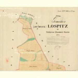 Lospitz - m1630-1-001 - Kaiserpflichtexemplar der Landkarten des stabilen Katasters