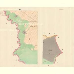 Swadniow - m2980-1-002 - Kaiserpflichtexemplar der Landkarten des stabilen Katasters