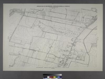 Sheet No. 21. [Includes (Graniteville) from South Avenue to Watchogue Road, and from Lisk Avenue to Kirshon Avenue.]; Borough of Richmond, Topographical Survey.