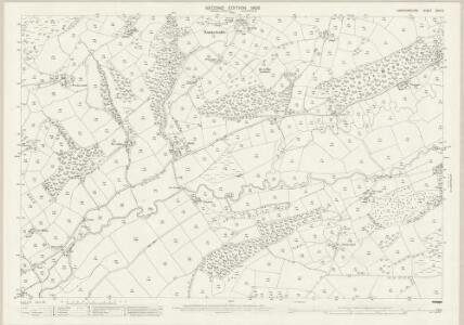 Cardiganshire XXVI.5 (includes: Betws Leucu; Gartheli; Nancwnlle) - 25 Inch Map