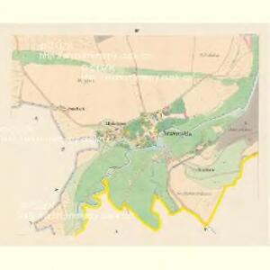 Neswiestitz (Newiestice) - c5111-1-003 - Kaiserpflichtexemplar der Landkarten des stabilen Katasters