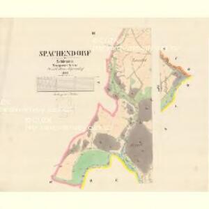 Spachendorf - m1495-1-003 - Kaiserpflichtexemplar der Landkarten des stabilen Katasters