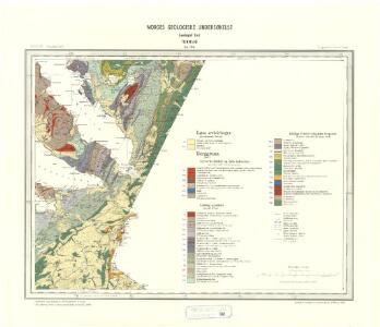 Geologisk kart 98: Tunnsjø