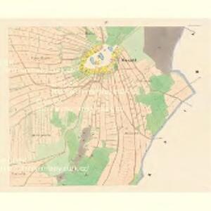 Wosant - c0081-1-004 - Kaiserpflichtexemplar der Landkarten des stabilen Katasters