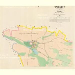 Twrsitz (Twrzyce) - c8138-1-001 - Kaiserpflichtexemplar der Landkarten des stabilen Katasters