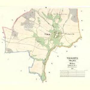 Widonitz (Widonice) - c8570-1-002 - Kaiserpflichtexemplar der Landkarten des stabilen Katasters