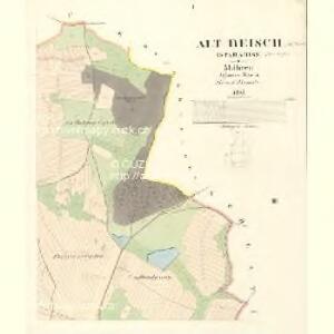 Alt Reisch (Starariss) - m2841-1-001 - Kaiserpflichtexemplar der Landkarten des stabilen Katasters