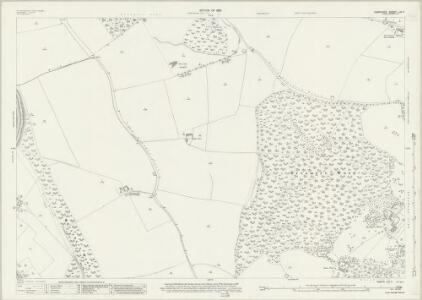 Hampshire and Isle of Wight LIV.7 (includes: Breamore; Whitsbury) - 25 Inch Map