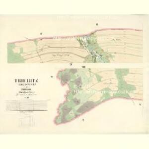 Triebitz (Trebowice) - c8053-1-006 - Kaiserpflichtexemplar der Landkarten des stabilen Katasters